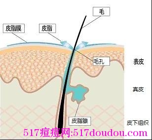 脸上长痘痘怎么处理？做好这几点根本不用看医生