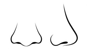 什么是酒渣鼻?什么是玫瑰痤疮?-健康吃瘦网