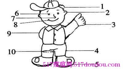 各部位位置长痘的原因和调理方法-健康吃瘦网