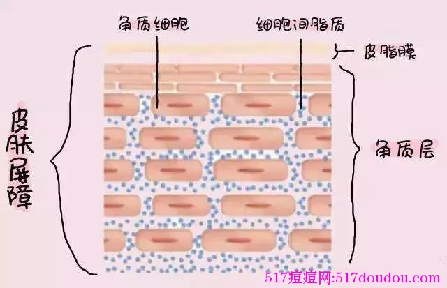 健康肌肤、痘痘肌肤、敏感肌肤分别应该怎么去角质