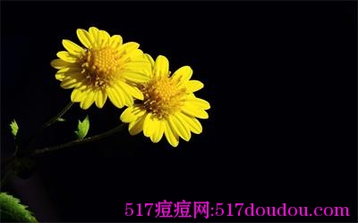 草本祛痘有哪些优势？哪些草本可以祛痘？