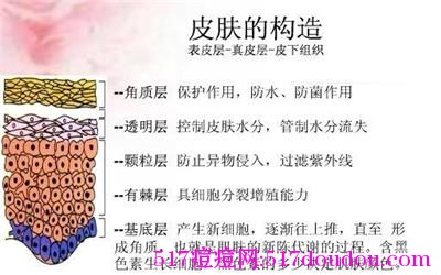 脸长痘痘是什么原因?-健康吃瘦网