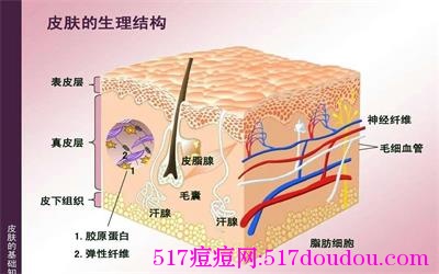 脸长痘痘是什么原因？