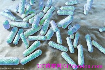 痤疮丙酸杆菌和痘痘有关吗？痤疮丙酸杆菌能导致痘痘吗？