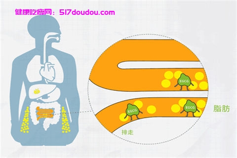 学生营养减肥食谱 营养健康瘦身材