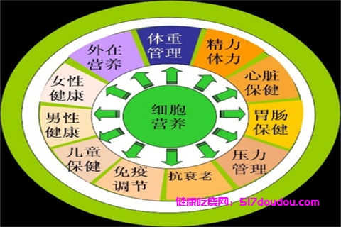 男士减肥快招 推荐四种运动