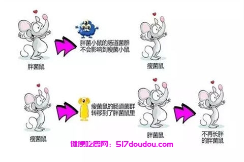怎样跑步减肥效果最好（如何通过跑步达到最佳减肥效果）
